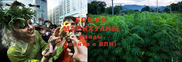 ПСИЛОЦИБИНОВЫЕ ГРИБЫ Аркадак