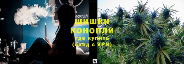 стаф Арсеньев