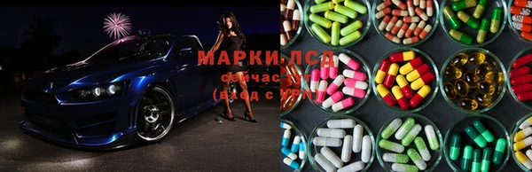 стаф Арсеньев