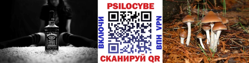 МЕГА ссылка  Петропавловск-Камчатский  Псилоцибиновые грибы Magic Shrooms 