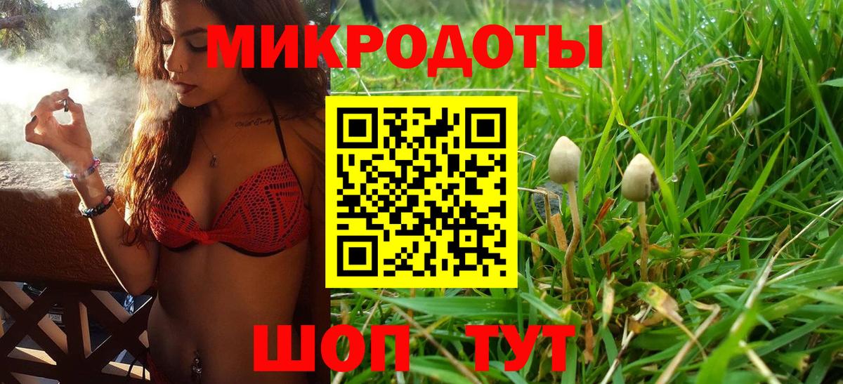 Псилоцибиновые грибы ЛСД Петропавловск-Камчатский