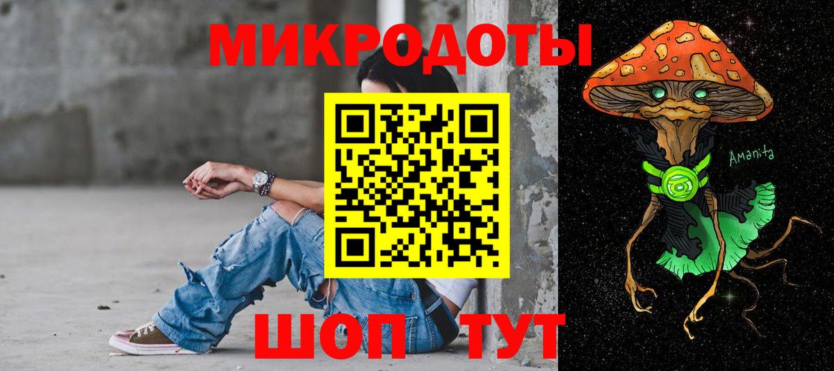 Петропавловск-Камчатский  Псилоцибиновые грибы Psilocybe  Вход с VPN 